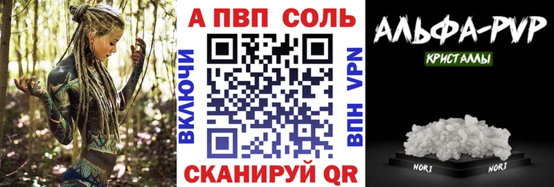 дарк нет клад Могоча Альфа ПВП СК КРИС