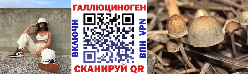 МЕГА   Могоча  Галлюциногенные грибы GOLDEN TEACHER 